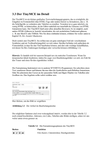 3.3 Der TinyMCE im Detail