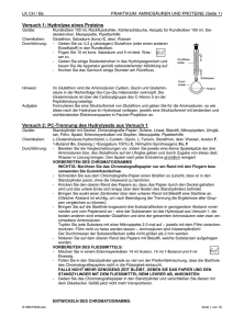 PRA_PRO_Proteine - Lehrer-Uni