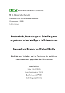 Organizational Behavior und Cultural Identity