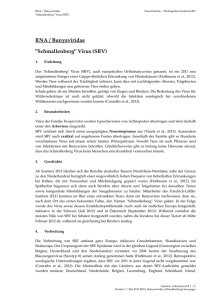 RNA / Bunyaviridae "Schmallenberg" Virus (SBV)