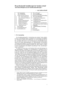 10-Prof-sozSeminarpapier - Supervision