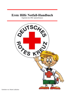 EH-Handbuch