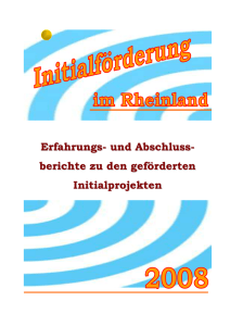 berichtsvorlage initialf&ouml;rderung 2008