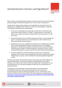 BEHINDERTENPASS_Assistenzhunde_Service
