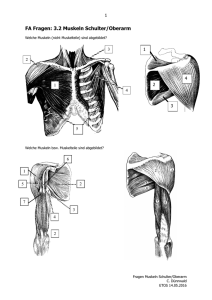FA Fragen: 3.2 Muskeln Schulter/Oberarm