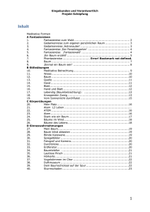 Fantasiereise zum Wald