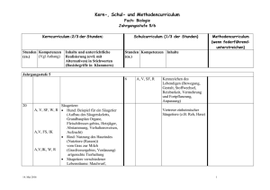 Schul- und Kerncurriculum - Liebfrauenschule Sigmaringen