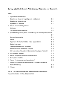 Survey: &Uuml;berblick &uuml;ber die Aktivit&auml;ten zur R&uuml;ckkehr aus &Ouml;sterreich