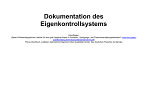 Dokumentation des Eigenkontrollsystems