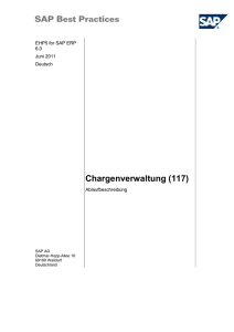 5.2 SAP-ERP-Berichte