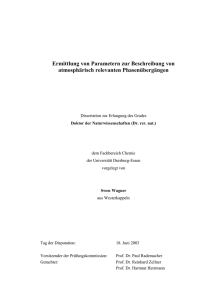 Erster Entwurf zur Dissertation mit dem Arbeitstitel