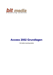 2 Access 2002 - Der Einstieg