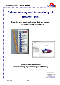 Handbuch Datafox Mini V105c.