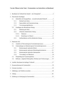 Von der Pflanze in den Tank - Fermentation von Zuckerhirse zu