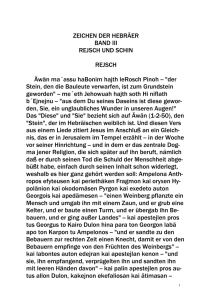 17. Band III: Rejsch und Schin