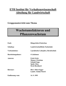 Gruppenunterricht: Puzzle-Methode