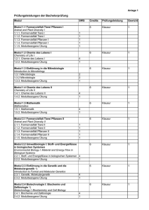 Prüfungsleistungen der Bachelorprüfung