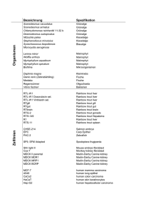 vollständige Liste aller verfügbaren Organismen und Zelllinien