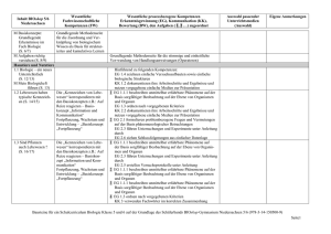Bausteine f&uuml;r ein Schulcurriculum