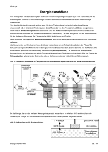 5._Teil_2_OEkologie_See_0809