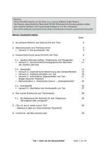 INHALTSVERZEICHNIS: