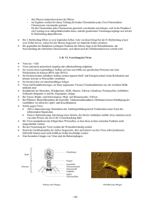 Biologie 12 S.14 (I.II.VI. Vererbung bei Viren )