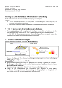 Intelligenz und elementare Informationsverarbeitung