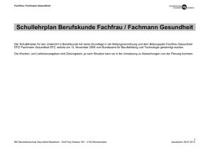 Schullehrplan Berufskunde