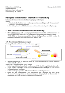 Intelli_und_elem_InfoVerarbeitung_Handout