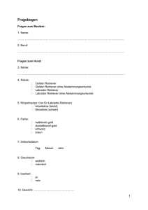 Fragebogen Fragen zum Besitzer: 1. Name
