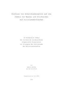 Die reine Si(100)-(2x1)