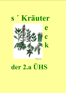 Kräuterfibel