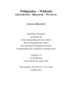 Apfel mit Wegwarte (Klemme) - Universit&auml;t Duisburg