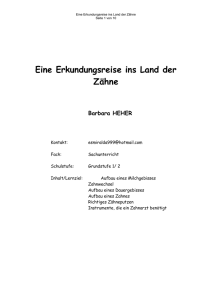 Eine Erkundungsreise ins Land der Zähne