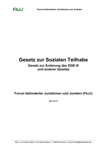 2013-06-01 Gesetz zur Sozialen Teilhabe 2013 (Arbeitsfassung)