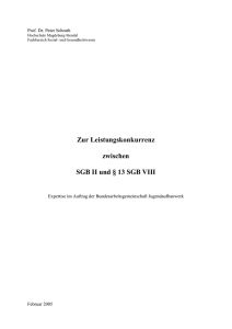 Gutachten SGB VIII (KJHG)