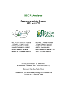 SSCR Analyse - Technische Universität Wien