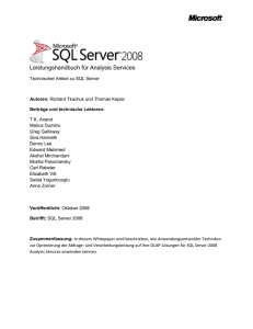 Leistungshandbuch für Analysis Services Technischer Artikel zu