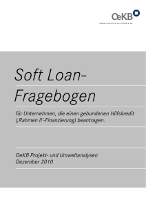 Soft Loan Fragebogen allgemein