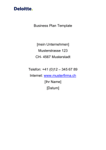 Business Plan Vorlage - i-net