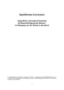 Diskussionsfassung des Spezifischen Curriculums &Uuml;bergang Schule