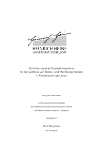 Optimierung eines Expressionssystems für die Synthese von Redox