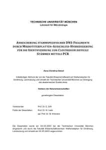 Prototyp „Q4POC C. difficile Ribotype 001“