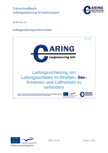 IMO/ILO/UN ECE Guidelines for packing of cargo transport units