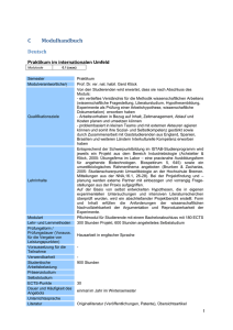 Praktikum im internationalen Umfeld