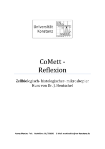 CoMett - Reflexion - ILIAS