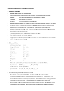 Molekulare Zellbiologie Zusammenfassung V2