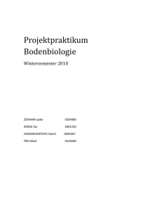 Projektpraktikum Bodenbiologie