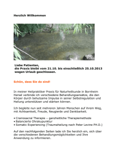 2013-10-26-homepage-sicherung - Naturheilpraxis Birgit Emmerich