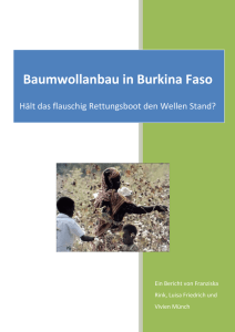 Baumwollanbau in Burkina Faso Bericht